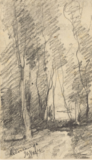 Landscape with trees in Hilversum, drawing, On verso a fragment of a pencil sketch., date and inscription: 'Hilversum 90', draftsman (artist): Johannes Gijsbert Vogel (signed by artist), 1890, draftsman (artist), paper, pencil, height 133 mm x width 76 mm, landscapes, Hilversum, A vertical charcoal or pencil sketch on textured paper showing a narrow view through a stand of tall, slender trees with rough, shaded foliage and long, sinuous trunks; dense, diagonal shading fills the spaces between the trunks, creating darker massing on the left and right edges and a lighter open vertical space near the center; the ground is suggested with horizontal, smudged strokes and darker undergrowth at the base of the trees; the overall tones are monochromatic with visible sketchy marks and variations in pressure.