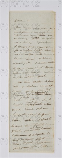 Premiers paragraphes du roman de Napoléon Bonaparte