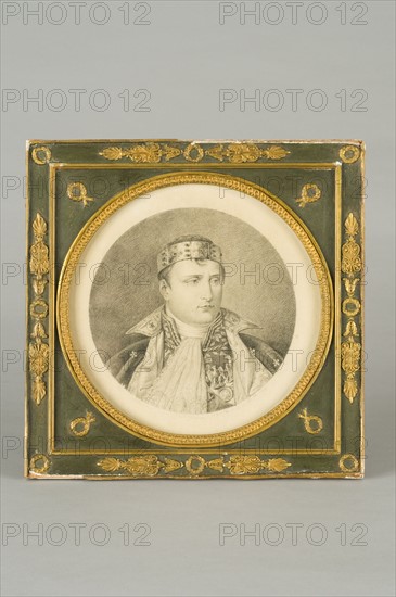 Portrait of the Emperor Napoleon 1st