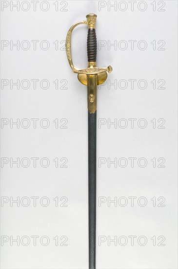 Sword from a head officer veterinarian model 1817 with engravings, French Second Empire