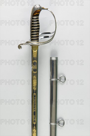 Sword from a foot troop officer, French Second Empire