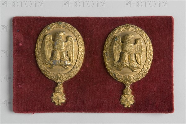 Pair of harnessing plates from the equipment of the  Emperor Napoleon III, French 2nd Empire