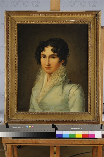 Pierre Louis de Laval, "Portrait d'une dame de qualité en robe de mousseline bleue"