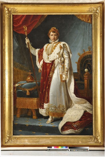 Baron Gérard, Portrait de l'empereur Napoléon 1er en costume de sacre