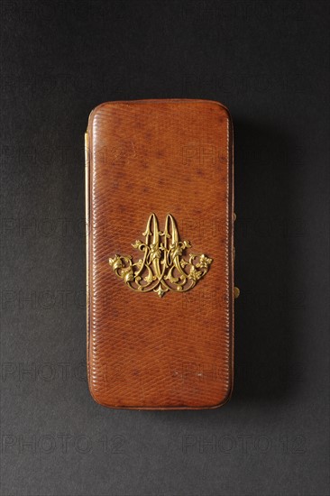 Cigar and cigarette case