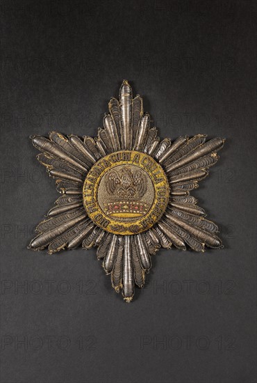 Grande plaque de manteau de dignitaire, de l'Ordre de la Couronne de Fer