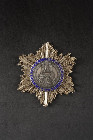 Costume plaque of the Order of the Crown of Westphalia