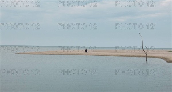 Under trottoaren - Stranden (2024)