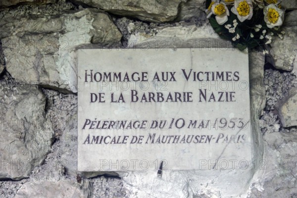 KZ Mauthausen 71 Jahrestag der Befreiung 71 Internationale Befreiungsfeier des KZ Ebensee Diese