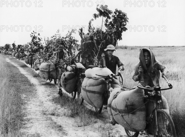 Vietnam: Transporting food for the frontline, Cu Chi, South Vietnam, Second Indochina War (Vietnam War) (1972) The Secon