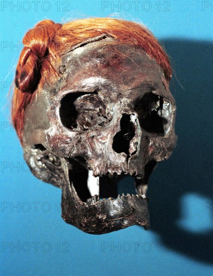 Bildnummer: 50836702 Datum: 01.07.2000 Copyright: imago/nordpool/Tittel
Schädel, ausgestellt im Archäologischen Landesmuseum Schloss Gottorf in Schleswig, mit gut erhaltenem Haarknoten, Objekte; 2000, Schleswig, Museum, Museen, Landesmuseum, Exponat, Exponate, Ausstellungsstück, Ausstellungsstücke, Osterby, Osterbyer, Haar, Haare; , hoch, Kbneg, Einzelbild, Freisteller, Deutschland, , Archäologie, Wissenschaft,