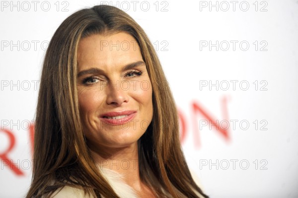 Brooke Shields bei der Elton John AIDS Foundation s 13th Annual An Enduring Vision Benefit Gala im C