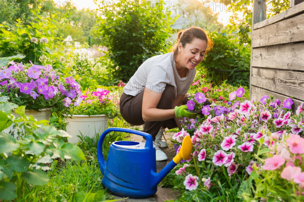Gartenarbeit und Landwirtschaft Konzept. Junge Frau Landarbeiter Gartenarbeit Blumen im Garten. Gärtnerin pflanzt Blumen für Blumenstrauß. Sommer Gartenarbeit. Mädchen bei der Gartenarbeit zu Hause im Hinterhof.