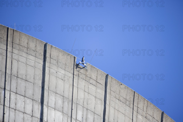 Grafenrheinfeld, Atomkraftwerk, 31.03.2021, Atomkraft in Deutschland Bild: Ein Vogel sitzt auf einer der Kuehltuerme des