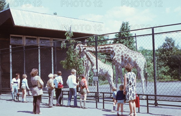 Bildnummer: 52124978 Datum: 11.06.1971 Copyright: imago/Gerhard Leber
Zoobesucher bei den Giraffen im Tierpark Friedrichsfelde in Ostberlin, Personen , Tiere; 1971, Ost-Berlin, Deutschland, DDR, Zoo, Giraffe; , quer, Kbdia, Totale, Deutsche Demokratische Republik, ,; Aufnahmedatum geschätzt
