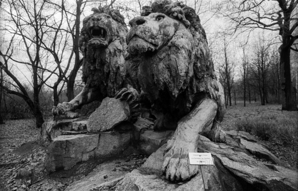 Tierpark Friedrichsfelde Deutschland, Berlin, 03.01.1991, Tierpark Friedrichsfelde, Löwen, standen früher vor dem Stadts
