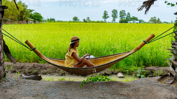 Asian women in hammock working on a laptop with on the background green rice paddy fields Asian women in a hammock worki