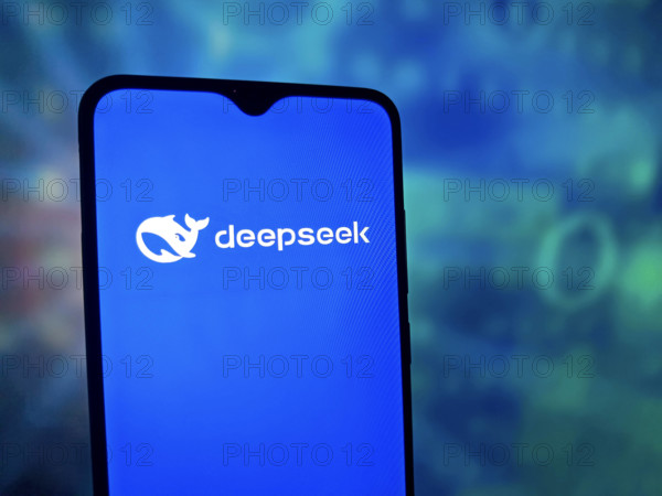 Illustration DeepSeek