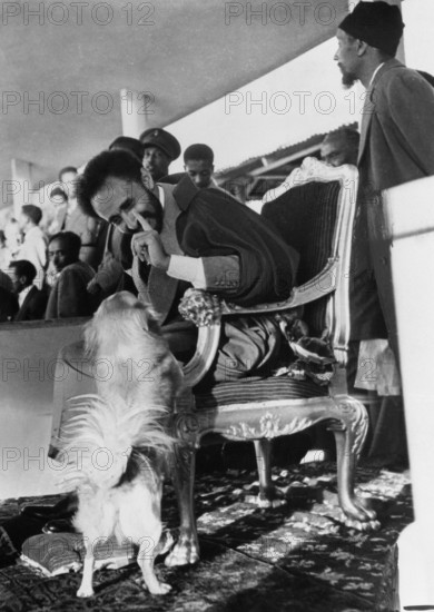 Bildnummer: 55851896  Datum: 01.01.2011  Copyright: imago/United Archives
Haile Selassie - Emperor of Ethiopia - playing with his pet dog . Mono Negative kbdig 2011 hoch 20th century twentieth century 20c 1940s , 40s nineteen forties throne 

Bildnummer 55851896 Date 01 01 2011 Copyright Imago United Archives Haile Selassie Emperor of Ethiopia Playing With His Pet Dog Mono Negative Kbdig 2011 vertical 20th Century Twentieth Century  1940s 40s  Forties Throne
