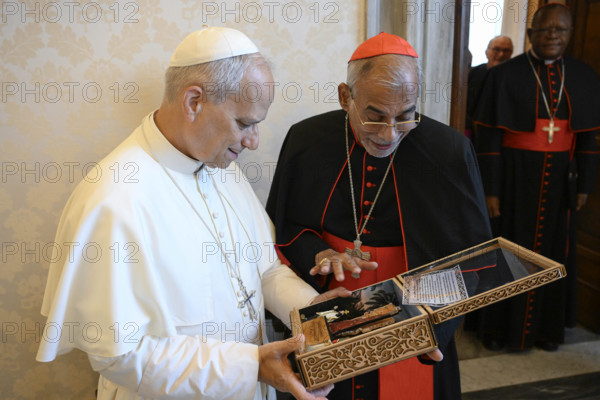 ITALY - POPE LEO XIV RECEIVES IN PRIVATE AUDIENCE HIS EMINENCE CARD. JAIME SPLENGER, CARD FILIPE NERI ANTONIO SEBASTIA DO ROSARIO FERRAO, CARD. FRIDOLIN AMBONGO BESUNGU , MGR LINZARDO ESTRADA HERRERA   IN THE VATICAN - 2025/7/1