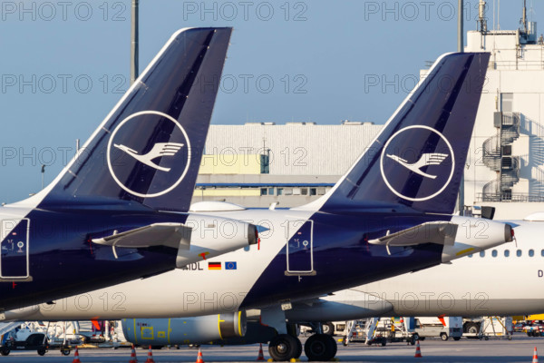 Frankfurt, Deutschland, 27. Mai 2020: Airbus Leitwerke der Lufthansa mit dem Kranich Logo auf dem Flughafen Frankfurt (