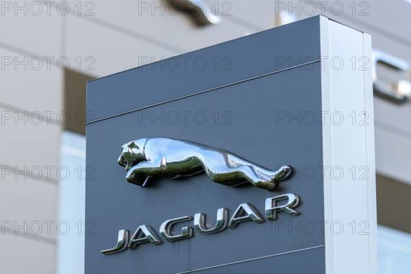 Logo des Automobilherstellers Jaguar am 27.08.2024 in München. Jaguar ist ein Automobilhersteller der Tochterfirma Jagua