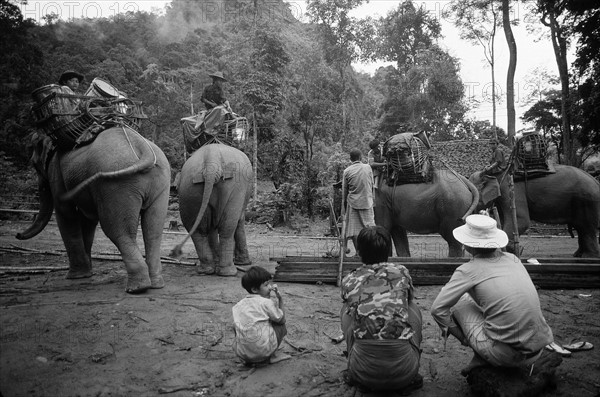 Burma Karen Warfare