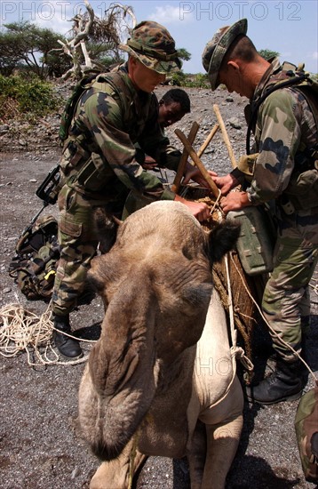 Djibouti Legion etrangere