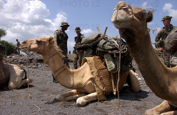 Djibouti Legion etrangere