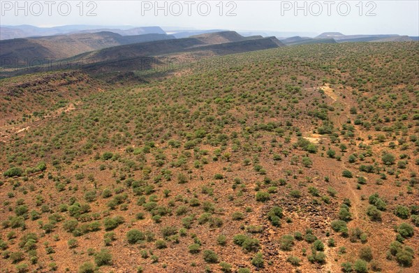 DJIBOUTI REPORTAGE