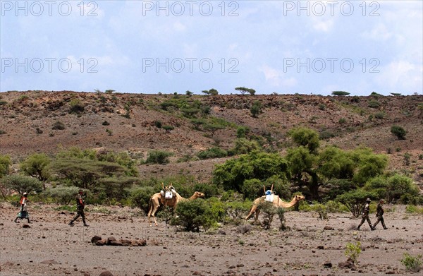 Djibouti Legion etrangere