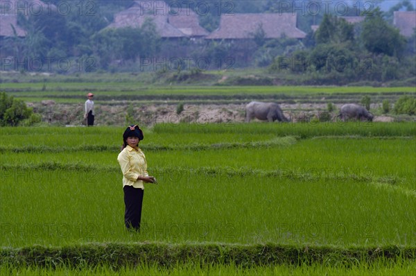 Vietnam Dien Bien Phu