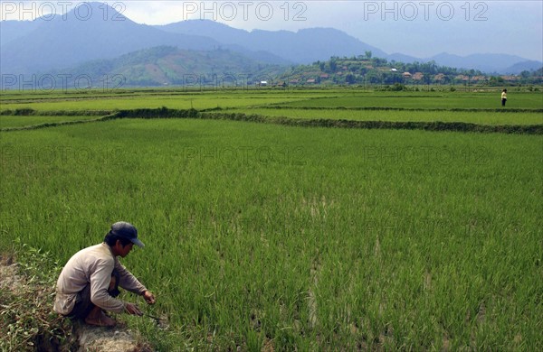 Vietnam Dien Bien Phu