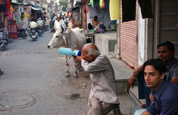 INDE JAIPUR SOCIETE