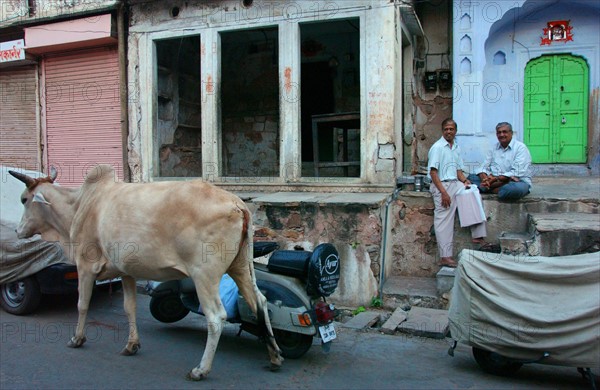 India Jaipur Society