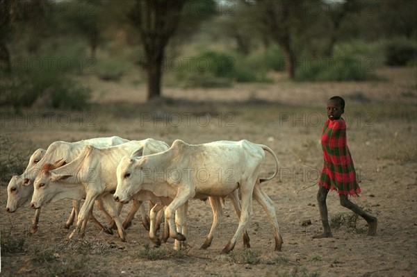 AFRIQUE ETHIOPIE PREHISTOIRE