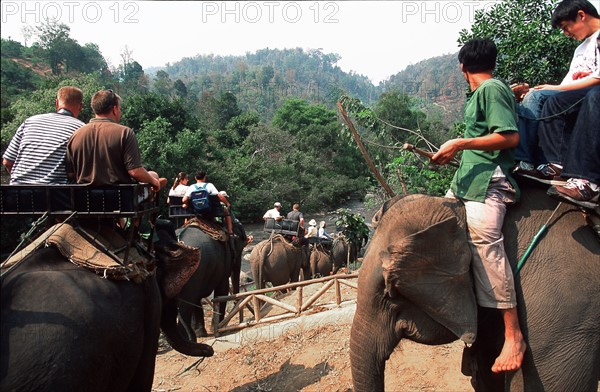 ELEPHANT-THAILANDE-TOURISME