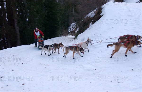 COURSE GRANDE ODYSSEE