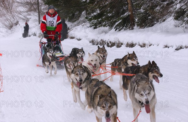 Grand Odyssee Race