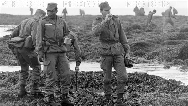 Armée française