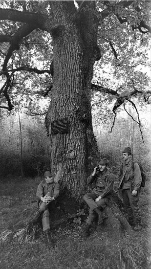 Armée française