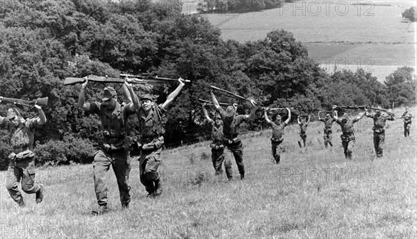 Armée française