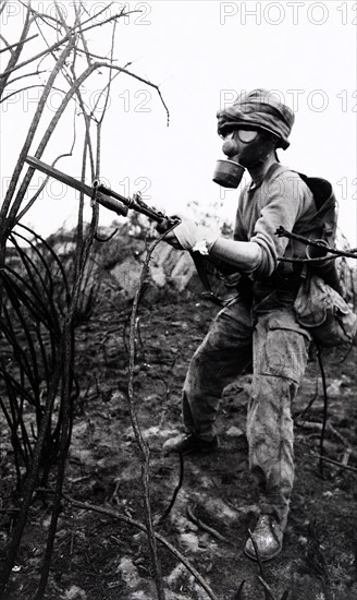 Armée française