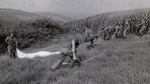 Armée française