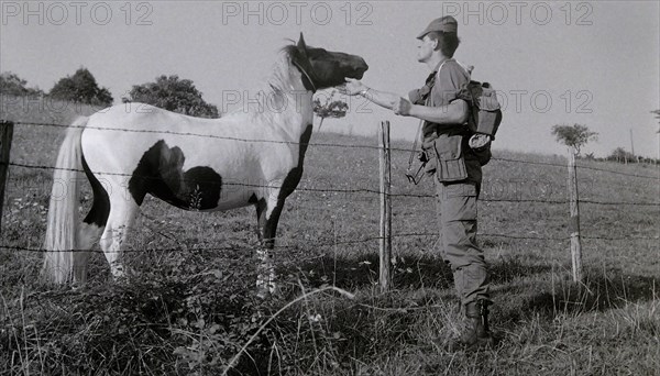 Armée française