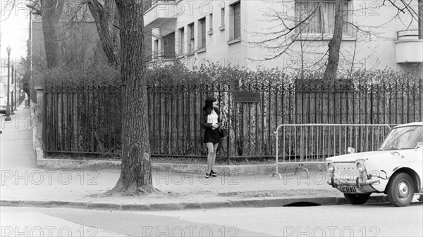 French society 1973