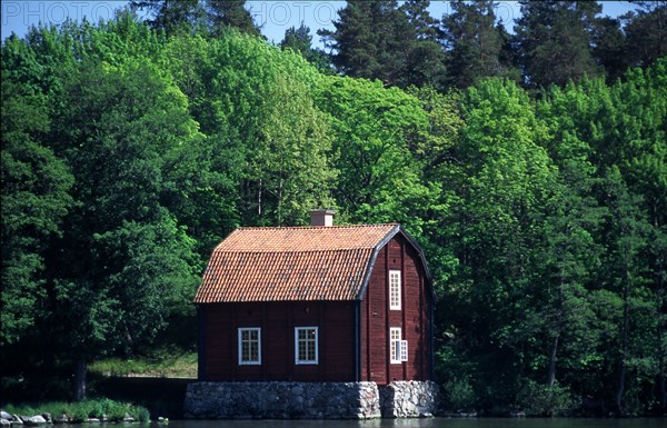Suède Paysage // Sweden Landscape
