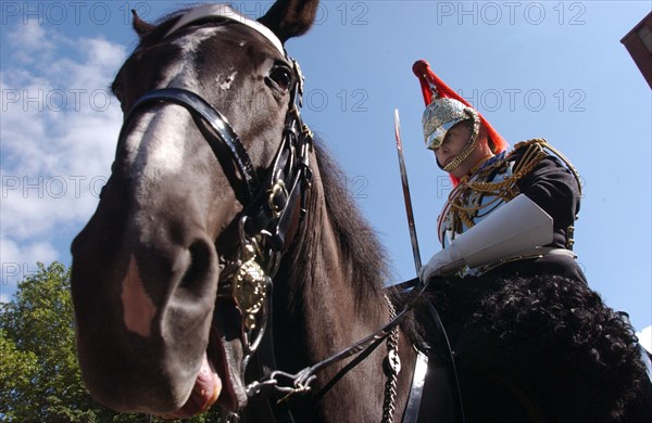 Grande-Bretagne Blues & Royals // Great-Britain Blues And Royals