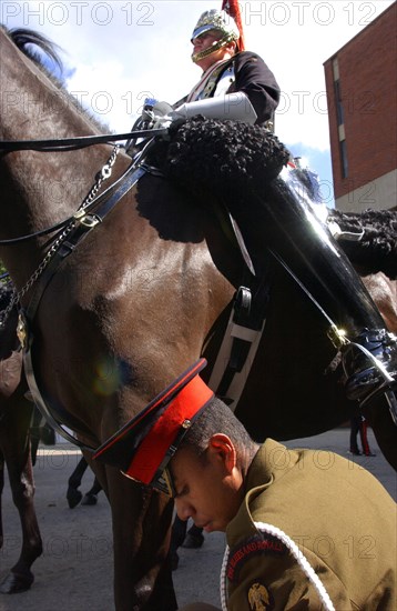 Great-Britain Blues And Royals