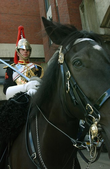 Grande-Bretagne Blues & Royals // Great-Britain Blues And Royals